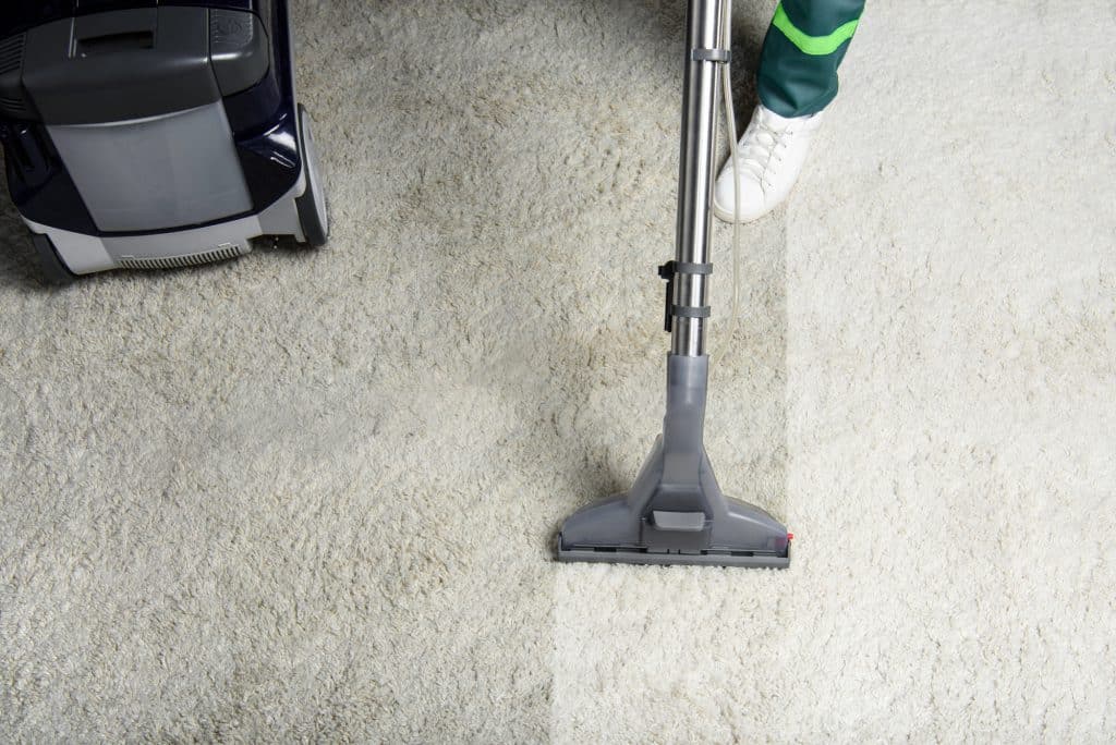 bojan carpet