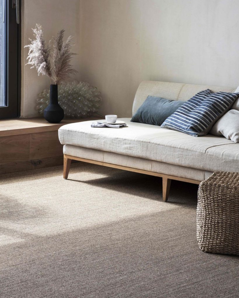 bojan carpet