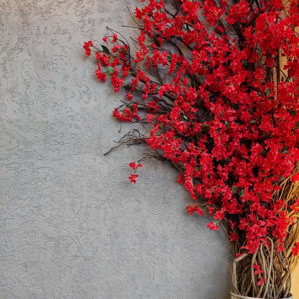 میکروسمنت گروه بوژان